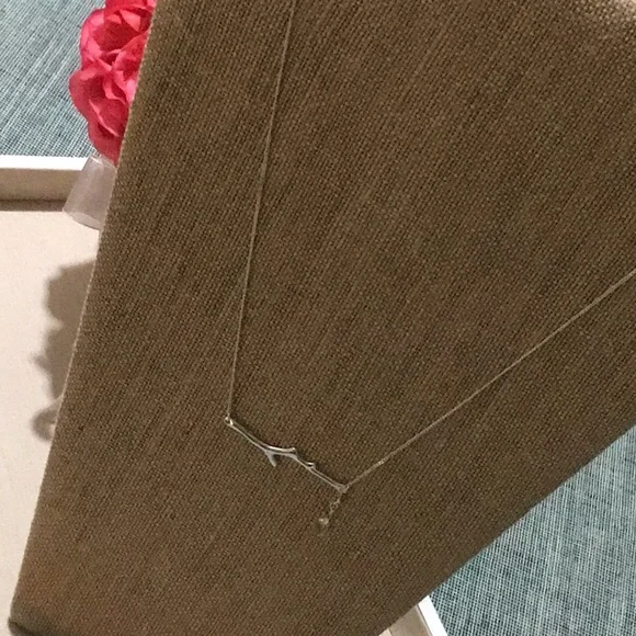 BEAUTIFUL CHOLE&ISABEL Silver Tone Branch Necklace.Brand New With It’s Dust Bag. - Picture 4 of 7
